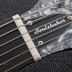 Reverend Rick Vito Signature Soulshaker električna gitara - Slika 6