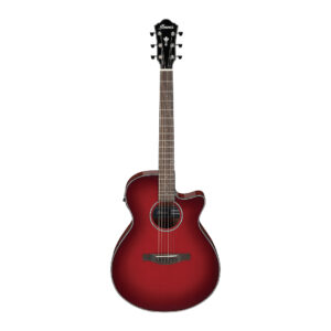 Ibanez AEG51-TRH akustična ozvučena gitara - Slika 1