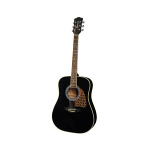 Richwood RD-16-BK akustična gitara