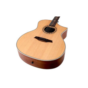 Bromo BAA4C Appalichian Series Auditorium akustična gitara - Slika 5