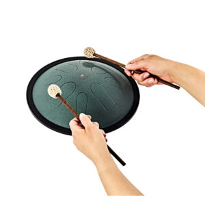 Meinl CSTD1DG Sonic Energy Compact Steel Tongue Drum bubanj - Slika 5